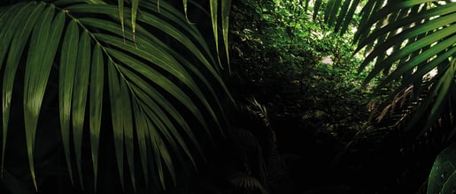 banner hero def origins  1